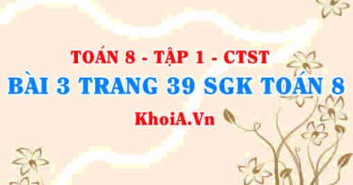 Bài 3 trang 39 SGK Toán 8 Tập 1 Chân trời sáng tạo